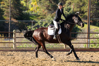 IMG_2570CRD1