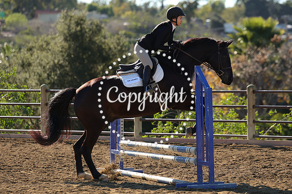 IMG_2556CRD1
