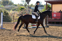 IMG_2591CRD1