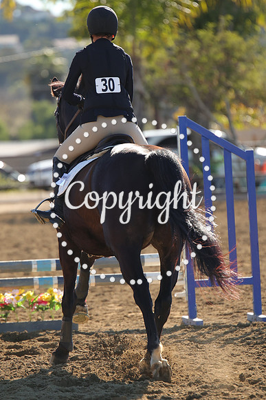IMG_2580CRD1