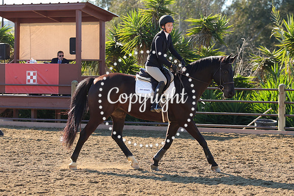 IMG_2594CRD1