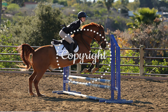 IMG_2629CRD1