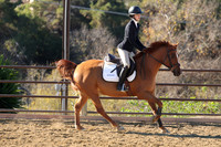IMG_2636CRD1