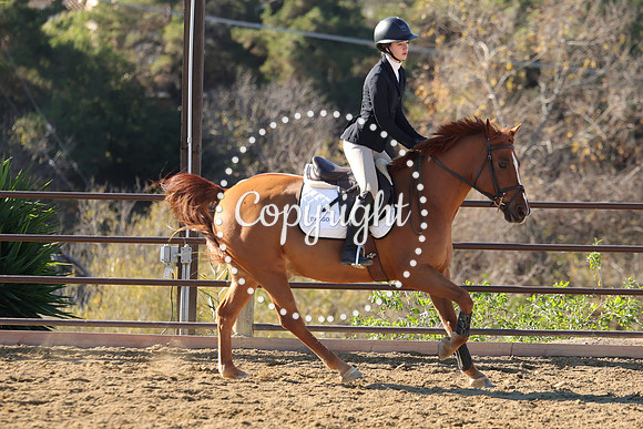 IMG_2636CRD1