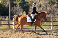 IMG_2638CRD1