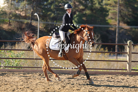 IMG_2640CRD1