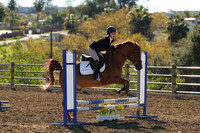 IMG_2648CRD1