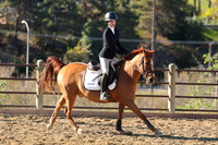 IMG_2643CRD1