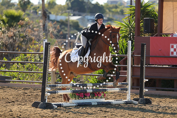 IMG_2662CRD1
