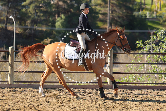 IMG_2062CRD1