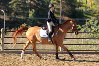 IMG_2063CRD1