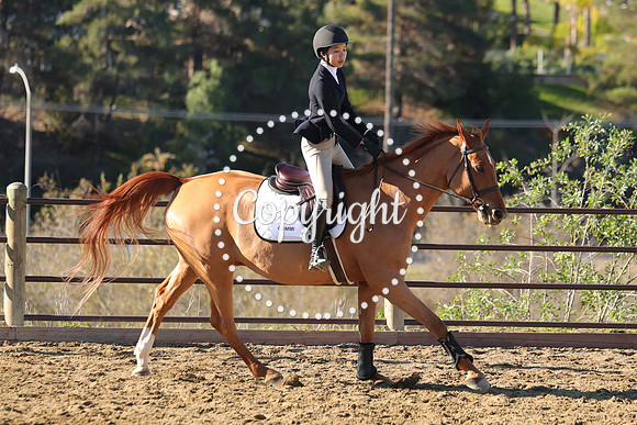 IMG_2063CRD1