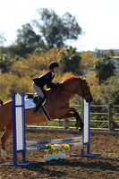IMG_2070CRD1