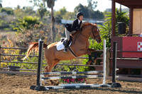 IMG_2082CRD1