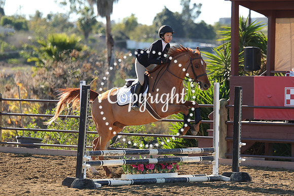 IMG_2082CRD1