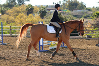 IMG_2087CRD1