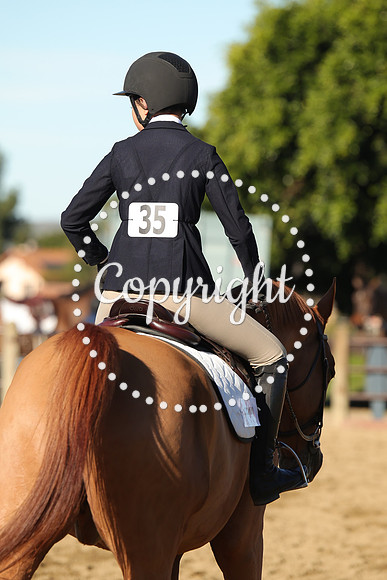 IMG_2106CRD1