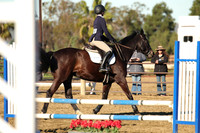 IMG_1351CRD1