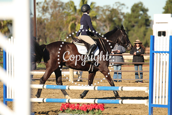 IMG_1351CRD1