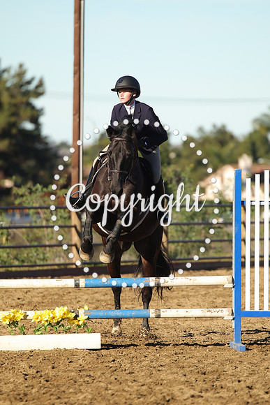 IMG_1368CRD1