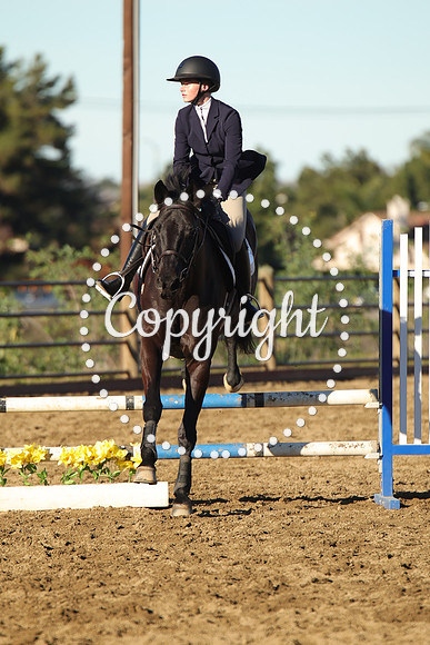 IMG_1372CRD1