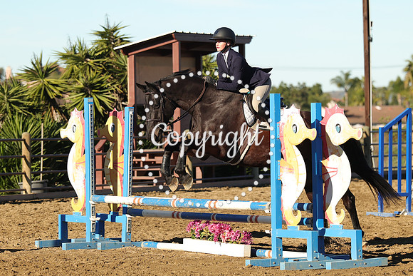 IMG_1374CRD1