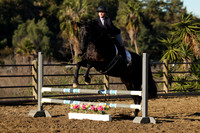 IMG_1386CRD1