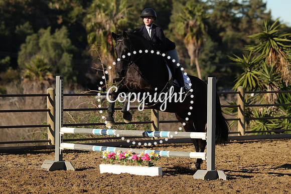 IMG_1386CRD1