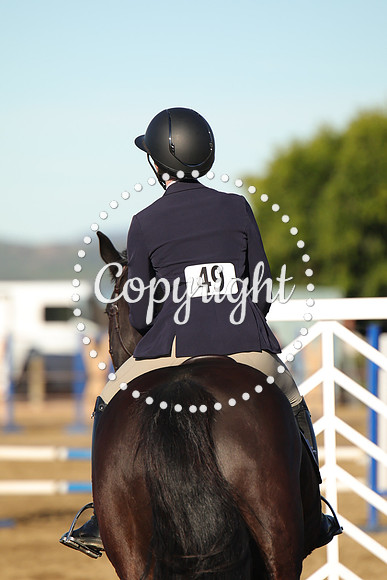 IMG_1392CRD1