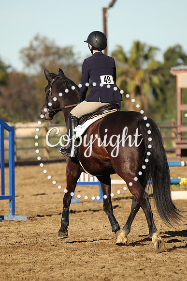 IMG_1395CRD1
