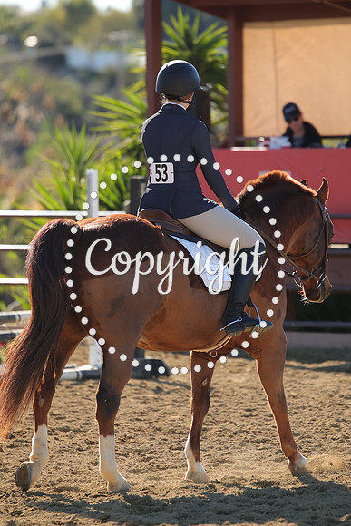 IMG_3324CRD1