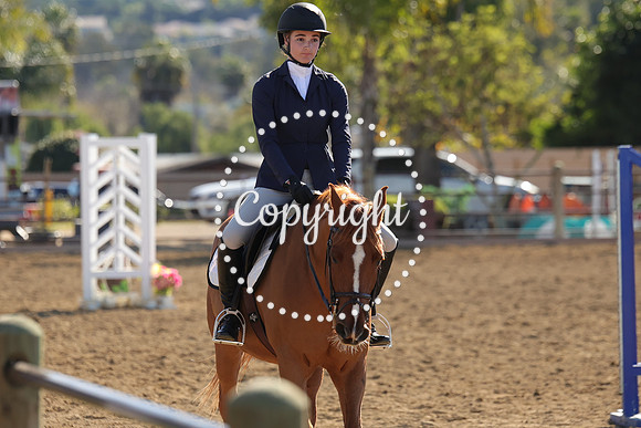 IMG_3333CRD1