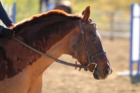 IMG_3336CRD1