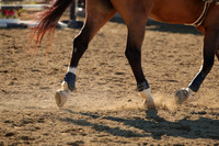 IMG_3337CRD1