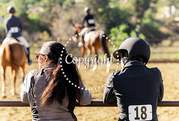 IMG_3365CRD1