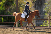 IMG_3367CRD1