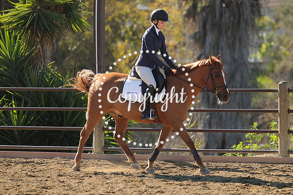 IMG_3367CRD1