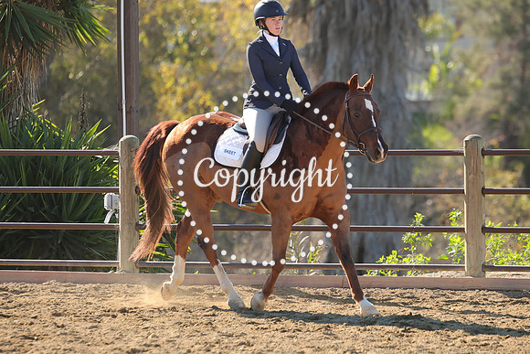 IMG_3379CRD1