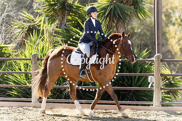 IMG_3376CRD1