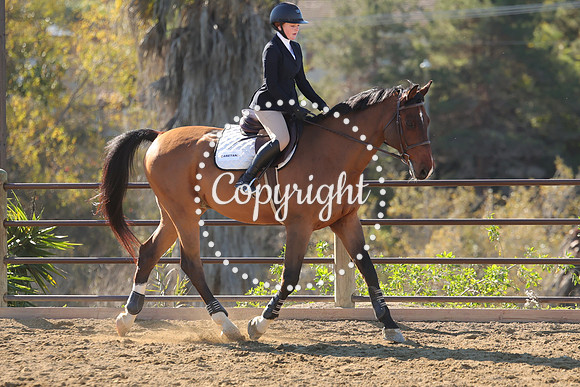 IMG_3404CRD1