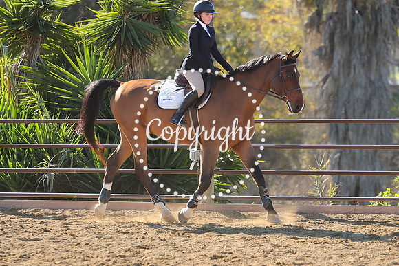 IMG_3401CRD1