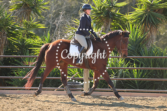 IMG_3411CRD1