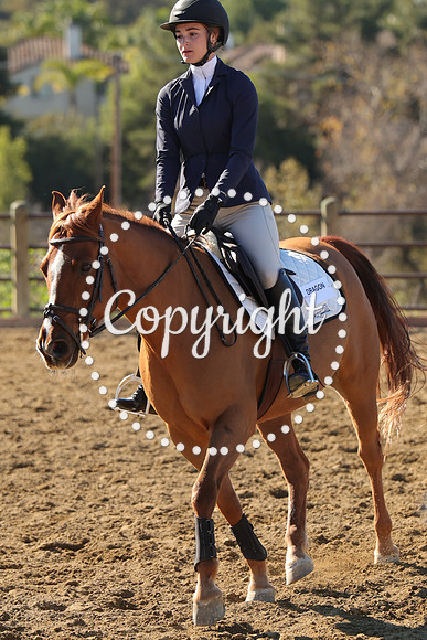 IMG_3421CRD1