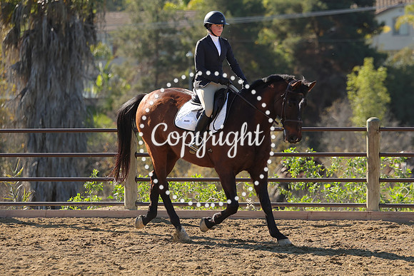 IMG_3425CRD1