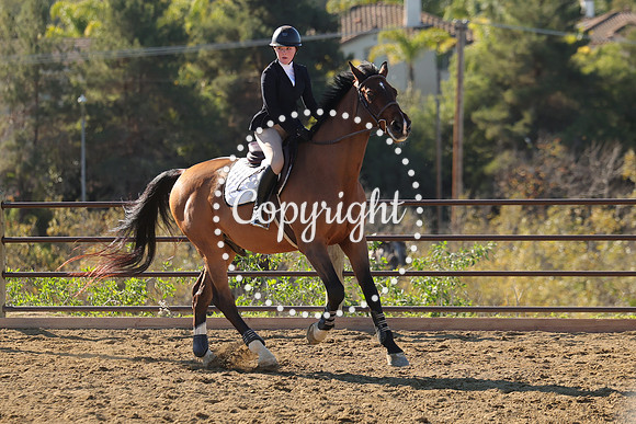 IMG_3432CRD1