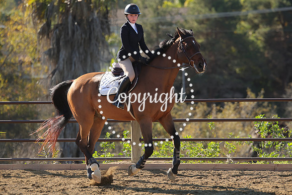 IMG_3431CRD1