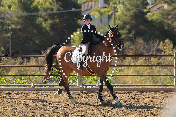 IMG_3436CRD1