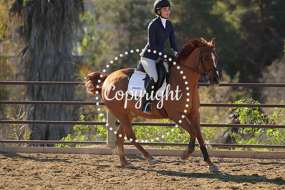 IMG_3451CRD1