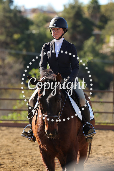IMG_3464CRD1