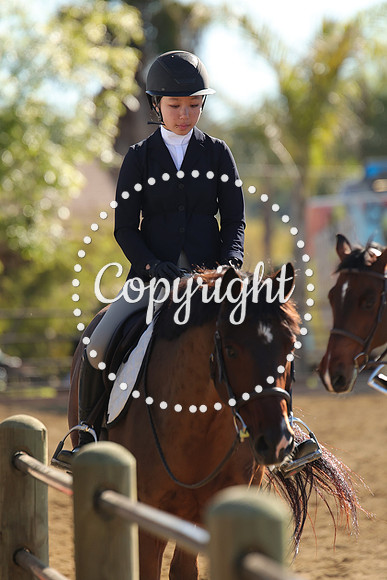 IMG_3479CRD1